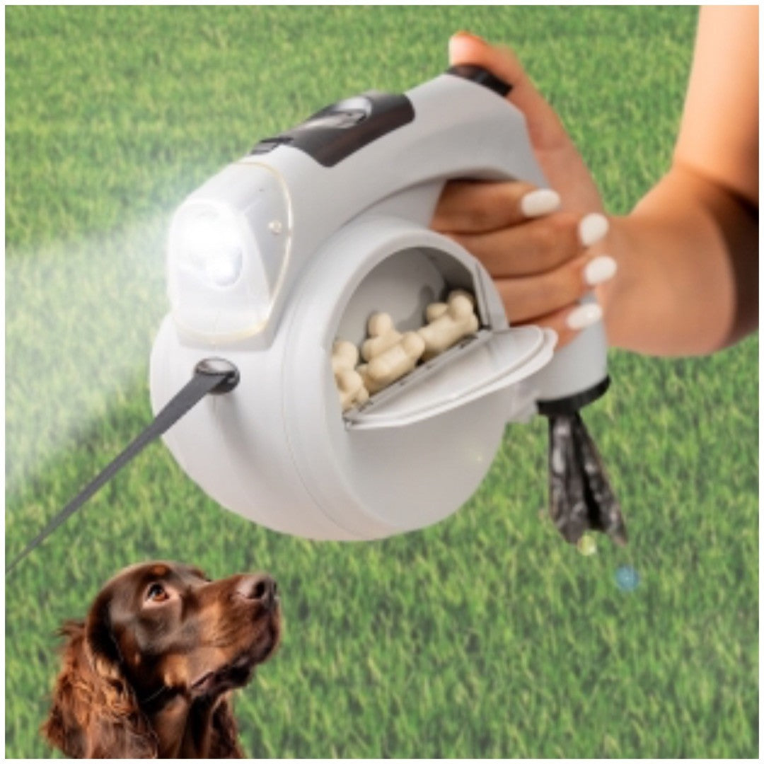 Laisse pour chien 6 en 1 innovagoods
