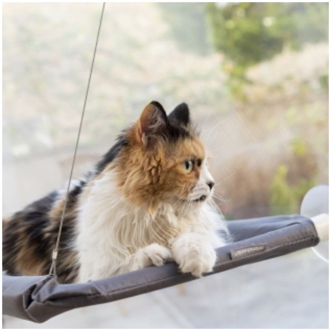 Hamac pour chat catlax innovagoods