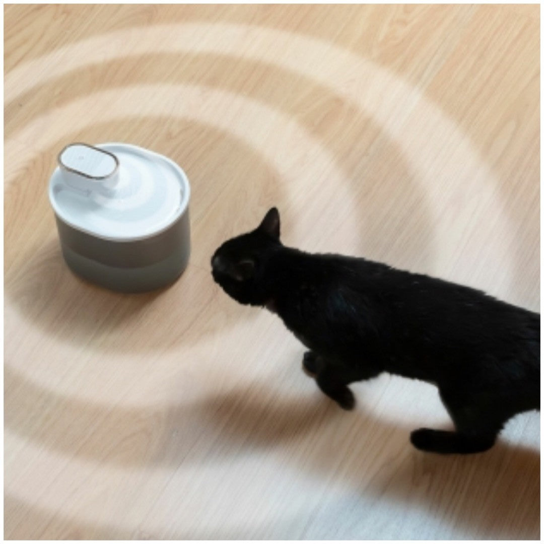 Fontaine pour chat rechargeable avec détecteur de mouvement innovagoods