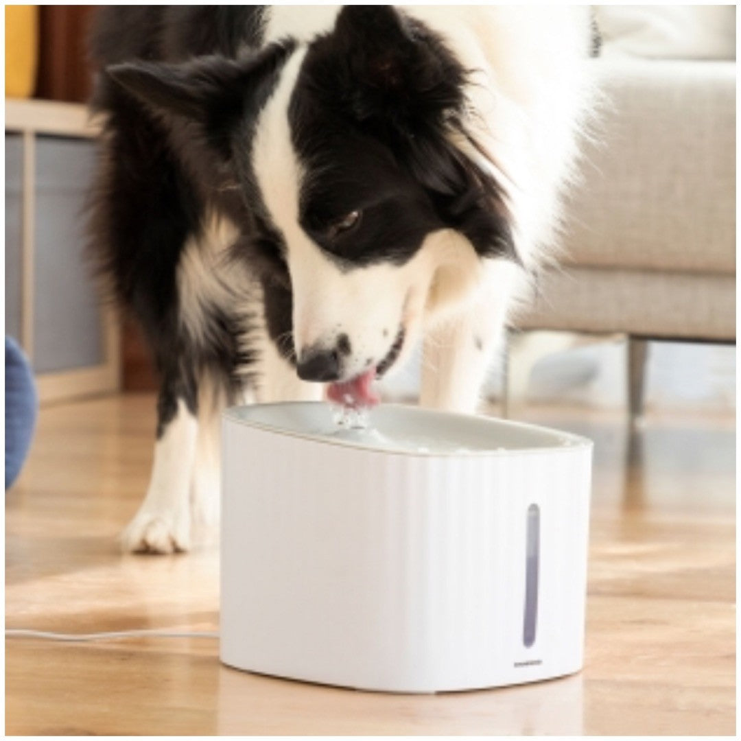 Fontaine pour animaux de compagnie Drinkat innovagood