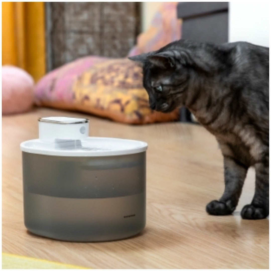 Fontaine pour chat rechargeable avec détecteur de mouvement innovagoods